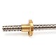 300mm Trapezoidal Lead Screw 8mm Thread 2mm Pitch Lead Screw with Copper Nut