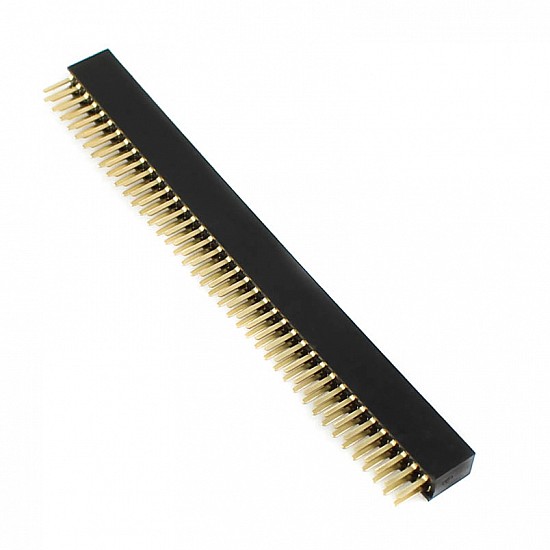 Female Header Burg Strip 40X2 Pin