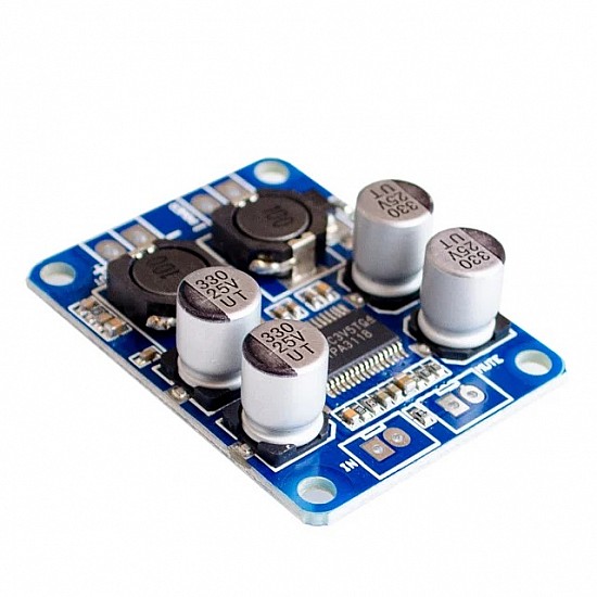 TPA3118 PBTL 12V 24V Power Mono Digital Amplifier Module